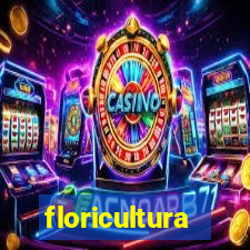 floricultura juazeiro bahia